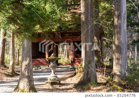 [Nagano Prefecture] Togakushi Shrine Okusha 85284776