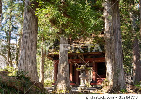[Nagano Prefecture] Togakushi Shrine Okusha 85284778
