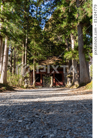 [Nagano Prefecture] Togakushi Shrine Okusha 85284779