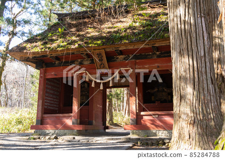[長野縣]戶隱神社奧社 85284788