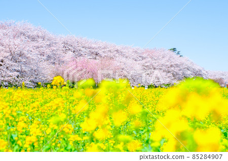 Gyodo Shrine 85284907