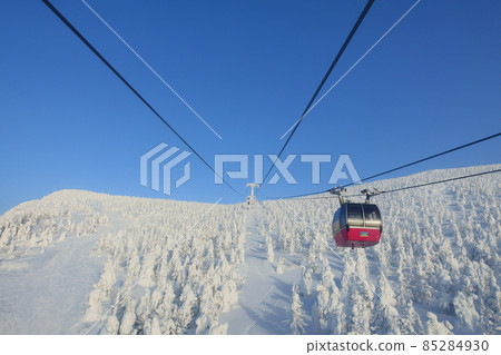 Rime on trees, hoarfrost, Zao 85284930