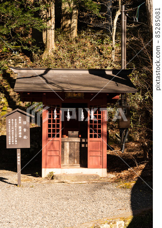 [Nagano Prefecture] Togakushi Shrine 85285081