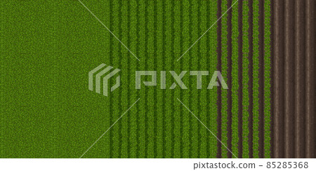 Top view of farm field with plants and plowed soil Top view of farm field with plants and plowed soil 85285368
