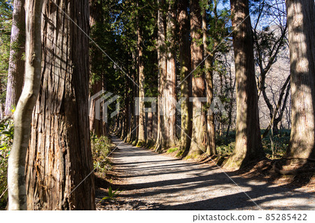 [長野縣]戶隱神社奧社 85285422