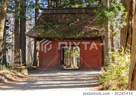 [長野縣]戶隱神社奧社 85285434
