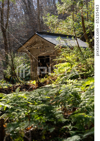 [Nagano Prefecture] Togakushi Shrine Okusha 85285463