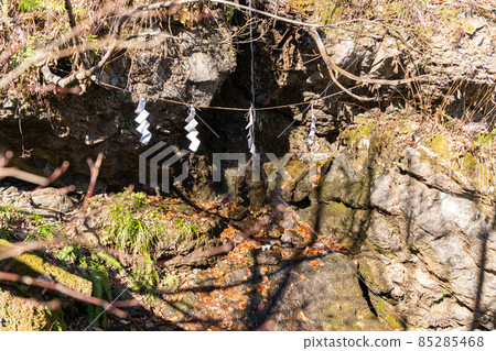 [Nagano Prefecture] Togakushi Shrine Okusha 85285468
