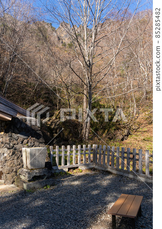[Nagano Prefecture] Togakushi Shrine Okusha 85285482