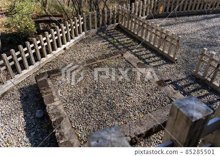 [Nagano Prefecture] Togakushi Shrine Okusha 85285501