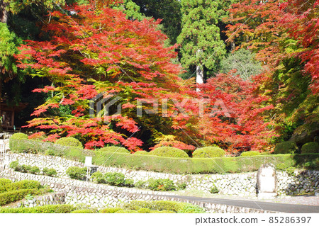 Scenery of autumn leaves in Yoshimizuen Garden, Akiota Town 85286397