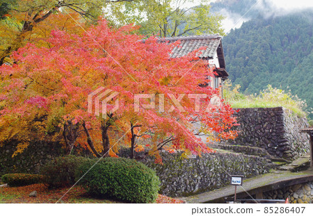 Scenery of autumn leaves in Yoshimizuen Garden in Kake, Akiota Town 85286407