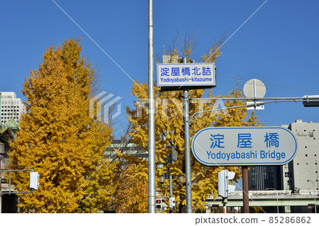 Fall Midosuji Fall Midosuji 85286862