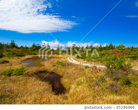 凸起的沼澤和沼澤（山形縣、藏王、伊呂波沼澤） 85286966