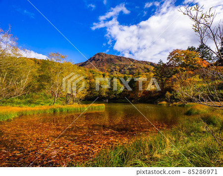 Swamps and mountains colored with autumn leaves (Yamagata Prefecture, Zao, Katagai Swamp) 85286971