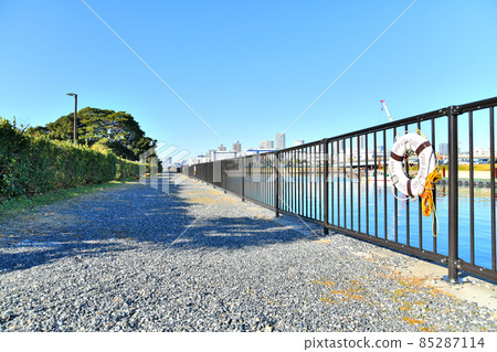 Shinkiba Park (Koto-ku, Tokyo) [2021.12] 85287114