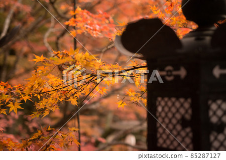 秋天的炭山神社 東峰炭山神社 秋天的炭山神社 東峰炭山神社 85287127