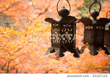 秋天的炭山神社 東峰炭山神社 秋天的炭山神社 東峰炭山神社 85287128
