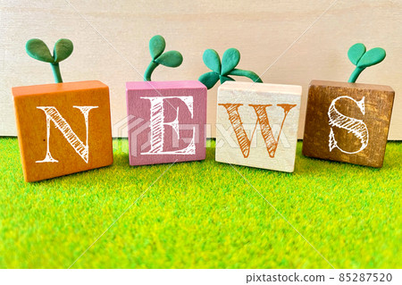 NEWS News bud image 85287520