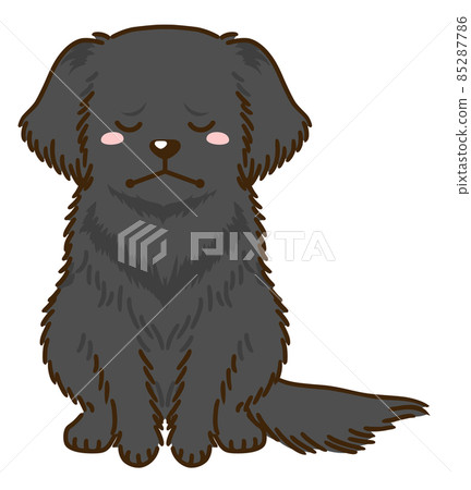 凹陷平毛獵犬 凹陷平毛獵犬 85287786