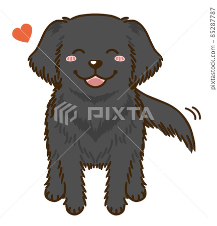 Natsuki 平毛獵犬 Natsuki 平毛獵犬 85287787