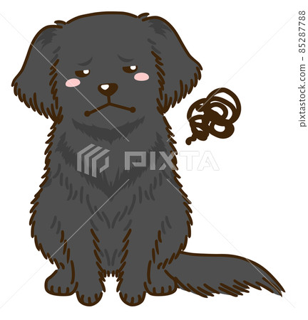 不滿意的平毛獵犬 不滿意的平毛獵犬 85287788