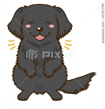Rejoice Flat Coated Retriever Rejoice Flat Coated Retriever 85287789