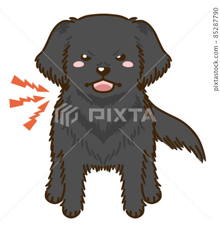 來勢洶洶的平毛獵犬 來勢洶洶的平毛獵犬 85287790
