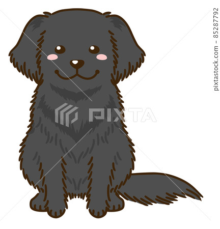 平塗的獵犬 平塗的獵犬 85287792