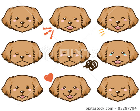 Golden retriever facial expression face icon 85287794