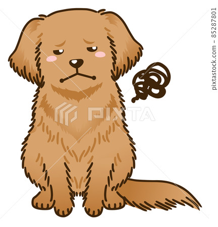 不滿意的金毛獵犬 85287801