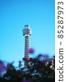 Yokohama Marine Tower from Yamashita Park Rose Garden 85287973