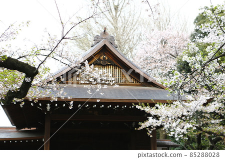 靖國神社 靖國神社 85288028