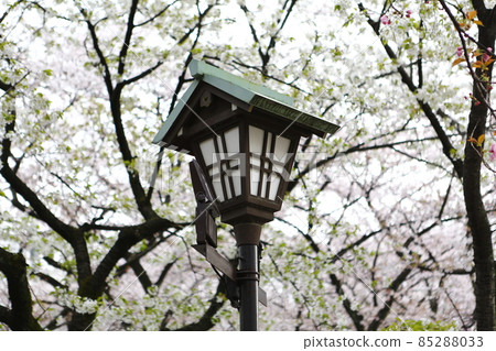 Yasukuni Shrine Yasukuni Shrine 85288033