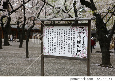 靖國神社 靖國神社 85288034