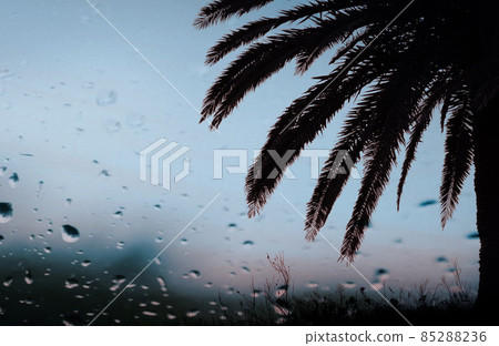 Tropical landscape through wet windows Tropical landscape through wet windows 85288236