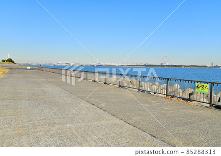 Arakawa Kawakako Bridge and Kasai Rinkai Park can be seen from Wakasu Seaside Park (Koto-ku, Tokyo) [2021.12] 85288313