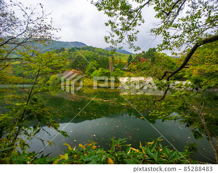 Lake on a cloudy day in early autumn (Yamagata Prefecture, Zao Onsen, Sakazukiko) 85288483