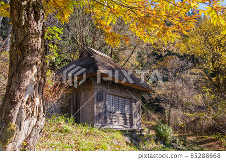 透過阿米達多的陽光 85288668