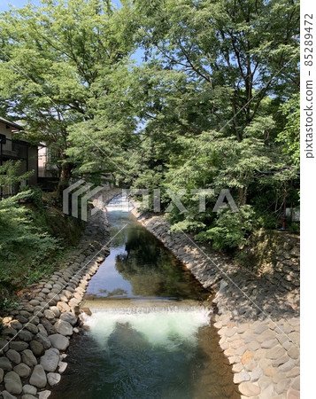 Bamboo Forest Path in Shuzenji (Katsura River) 85289472