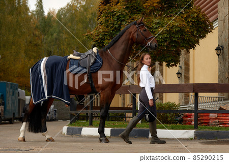 Female horseman going with her brown horse outdoor. Concept of animal care. Rural rest and leisure. Idea of green tourism. Young european woman wearing helmet and uniform Female horseman going with her brown horse outdoor. Concept of animal care. Rural rest and leisure. Idea of green tourism. Young european woman wearing helmet and uniform 85290215