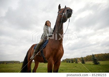 Beautiful young woman riding a horse on the field. Sideways to the camera. Freedom, joy, movement Beautiful young woman riding a horse on the field. Sideways to the camera. Freedom, joy, movement 85290233