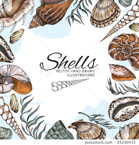 Seashells hand drawn banner with copy space for text in the middle, colored sketch vector illustration. 85290435