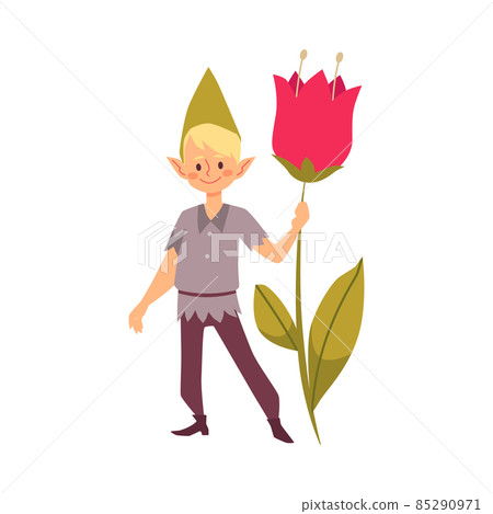 Fairy elf boy character with flower, flat cartoon vector illustration isolated. Fairy elf boy character with flower, flat cartoon vector illustration isolated. 85290971