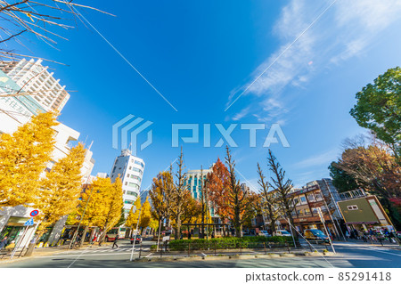 東京都武藏野市三鷹站北口 東京都武藏野市三鷹站北口 85291418