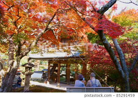 Autumn leaves at Kozanji Temple and Sanmon 85291459