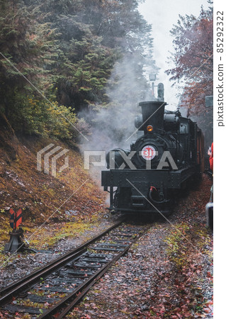 Taiwan, winter, maple leaves, rain, humidity, train, railway, smoke, fog 85292322