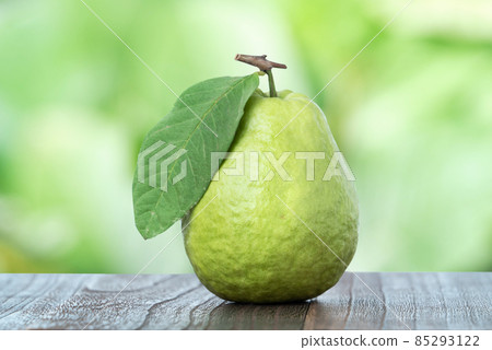 芭樂 番石榴 木頭 背景 鄉村 葉子 Guava white fruit leaf グアバ 果物 85293122