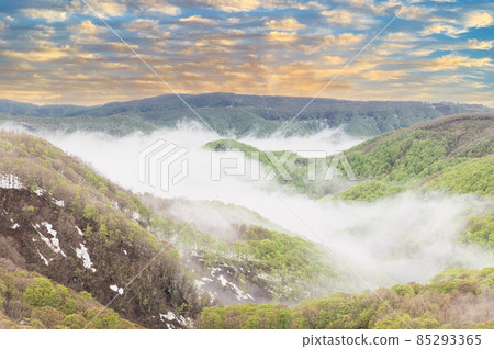 The sea of clouds where the morning sun shines 85293365