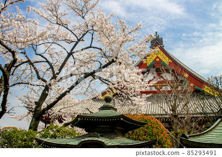 淺草寺 淺草寺 85293491